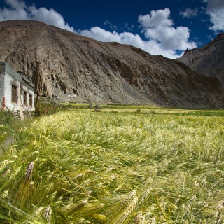Monasteri della Valle dell’Indo