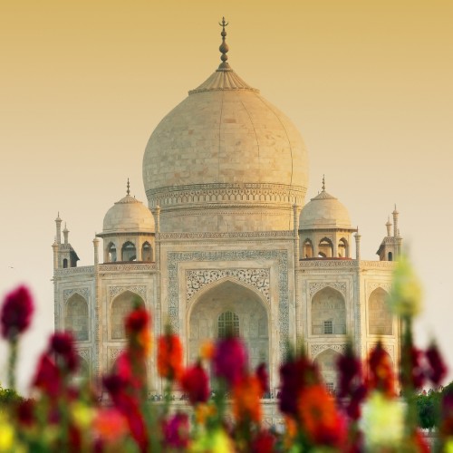 Taj Mahal fiori | Viaggiare in India