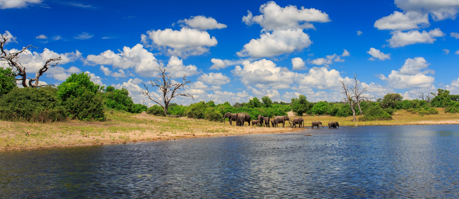 Tour African Wonders | Botswana Safari
