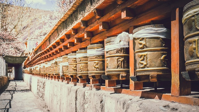 Alchi | Tour India del Nord