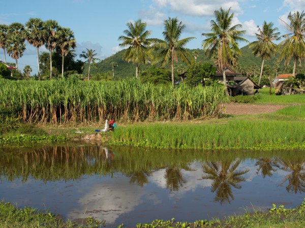 Battambang | Cambogia Viaggio