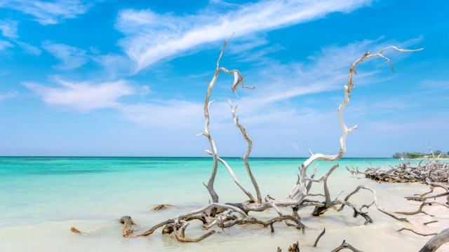 Cayo Levisa | Tour in Cuba