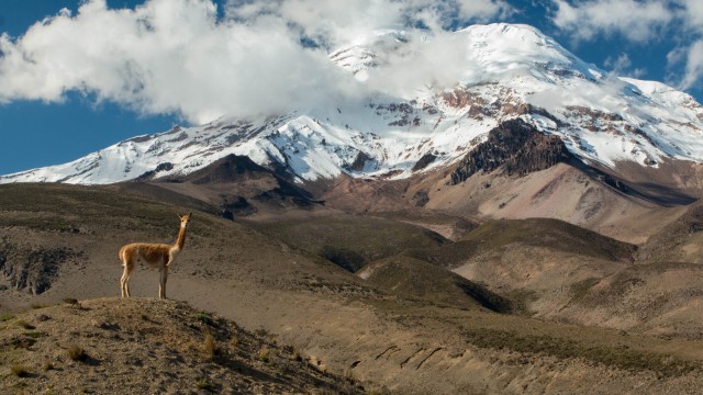 Chimborazo | Viaggio Ecuador e Galapagos