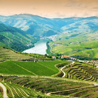 Valle del Douro