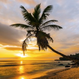 Tramonto sulla spiaggia di La Digue | Viaggiare alle Seychelles
