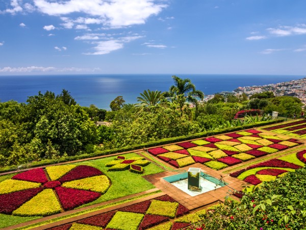 Madeira | Portogallo Viaggio