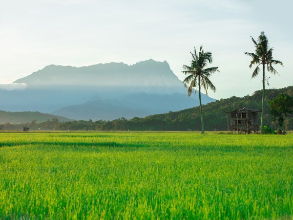 Kota Kinabalu | Malesia viaggio