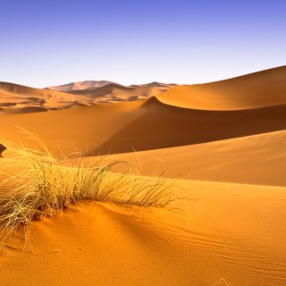 Deserto del Sahara