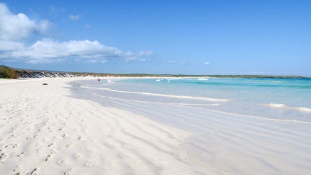 Isla Santa Cruz Tortuga Bay | Viaggio Ecuador e Galapagos