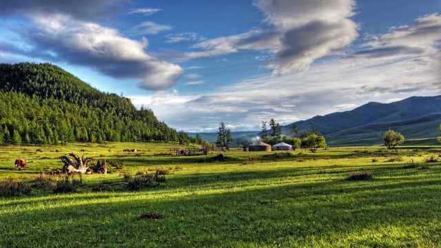 Steppa del Nord | Tour Mongolia