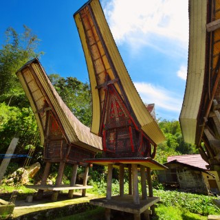Tana Toraja