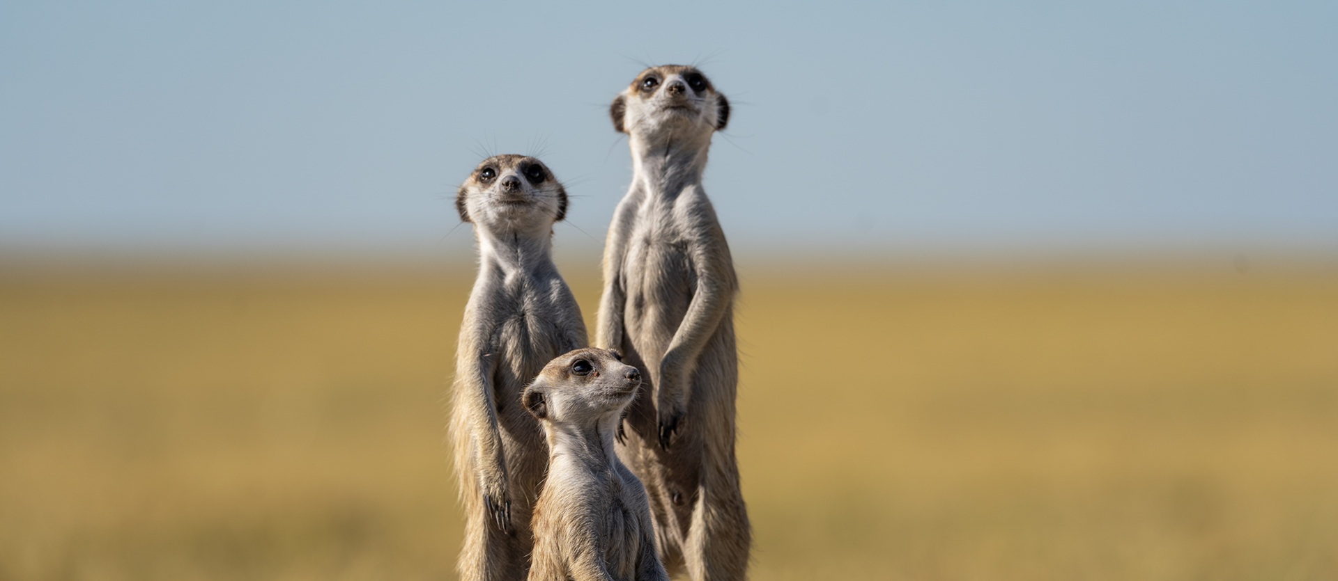 Tour Botswana Original | Safari in Botswana