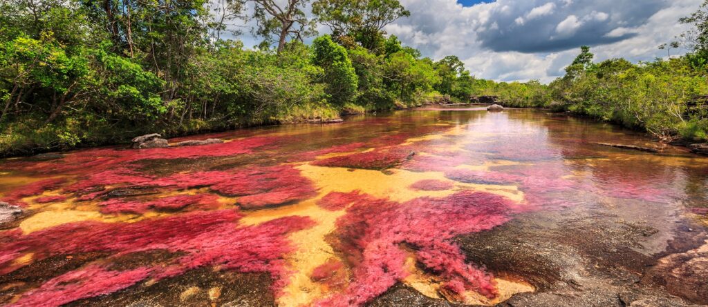 Tour Colombia Special | Tour Colombia