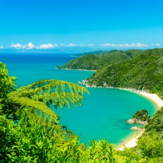 Abel Tasman National Park