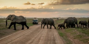 Amboseli National Park | Viaggiare in Kenya