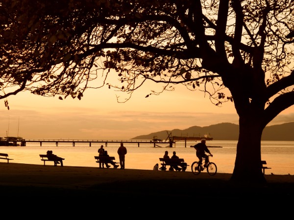 Stanley Park di Vancouver | Canada Viaggio
