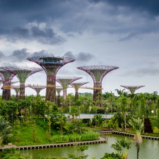 Gardens by the Bay