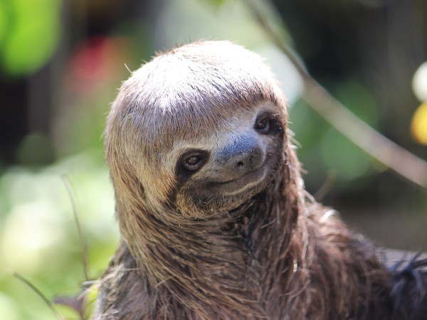 Giungla Amazonas | Colombia Viaggio