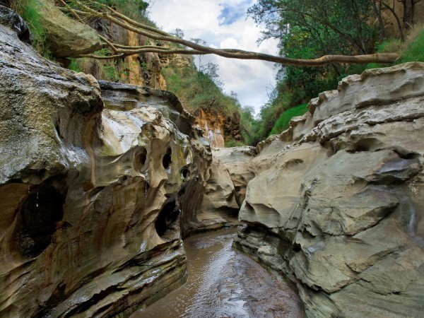 Hell's Gate National Park | Kenya Viaggio
