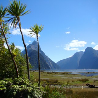 Milford Sound