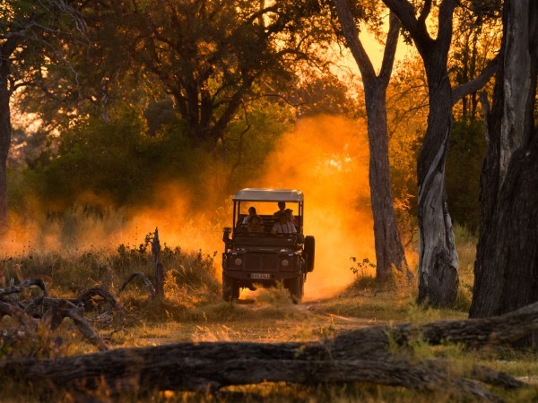 Moremi Game Reserve | Botswana Viaggio