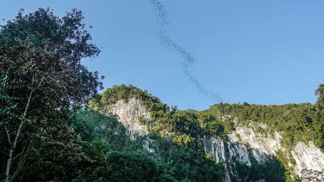Mulu National Park | Tour Borneo Malese