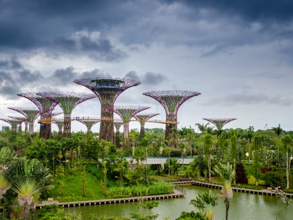 Ammirare le mille meraviglie di Singapore