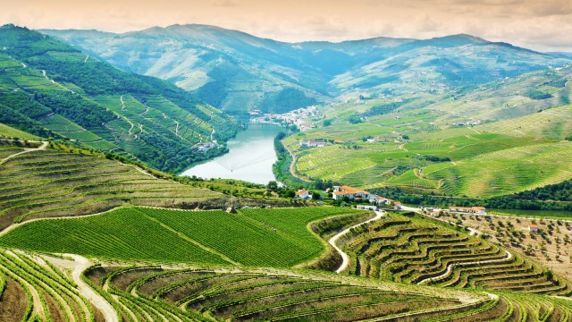 Valle del Douro | Tour del Portogallo