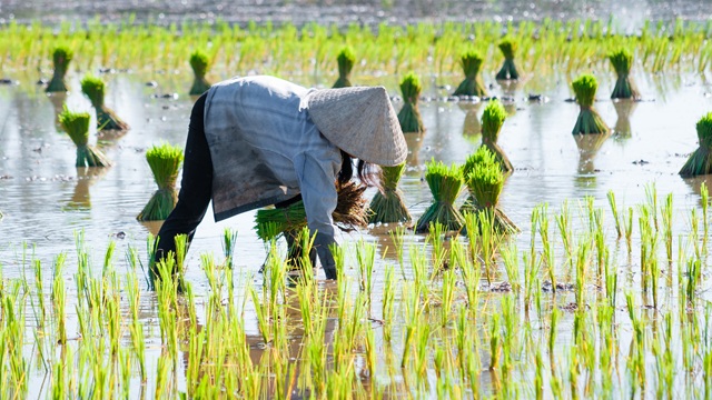 Mai Chau | Tour Vietnam