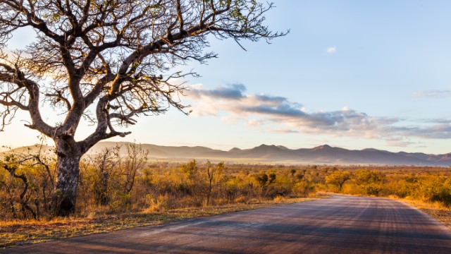 Paesaggio Kruger Park | Tour Mozambico