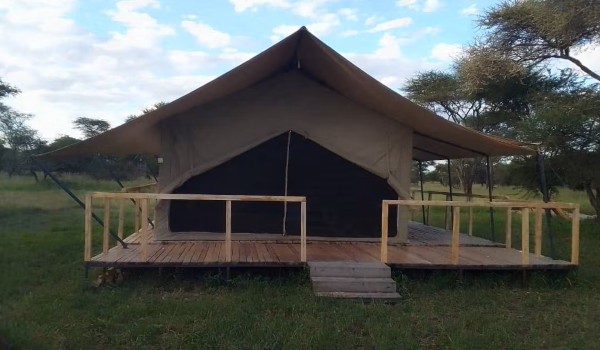 Pamoja Migration Camp tenda | Safari Tanzania Zanzibar