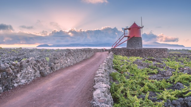 Vinhas da Criação Velha | Viaggio Azzorre