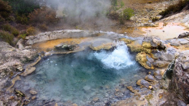 Sao Miguel Furnas | Viaggio Azzorre