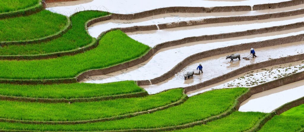 Tour Vietnam Original | Tour Vietnam