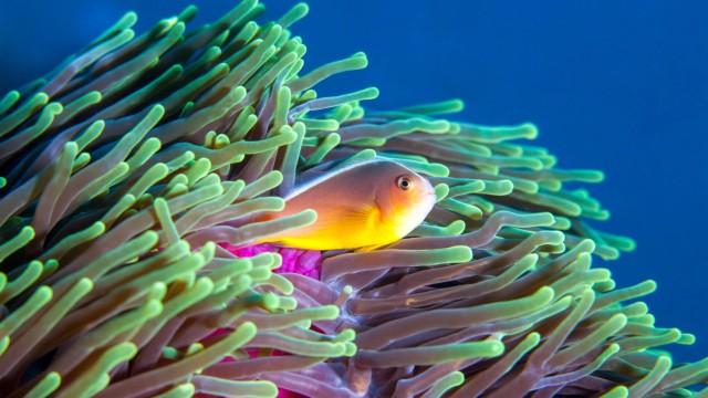 Vilanculos | Tour Mozambico