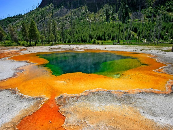 Scoprire la potenza della natura dello Yellowstone
