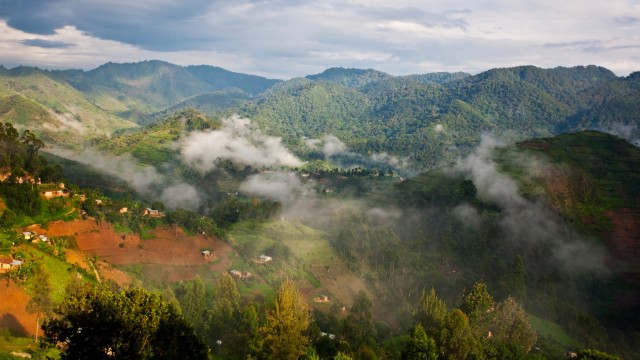 Bwindi Impenetrable Forest National Park | Safari Uganda
