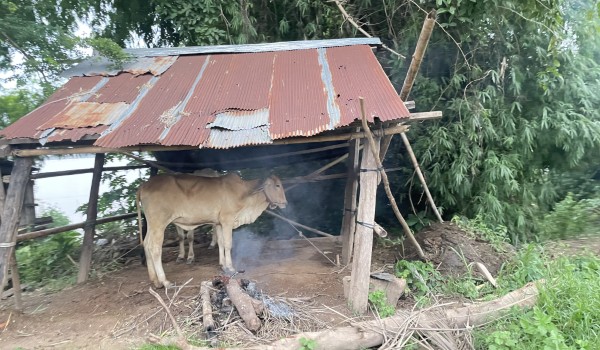 Homestay Cambogia giardino | Tour in Cambogia