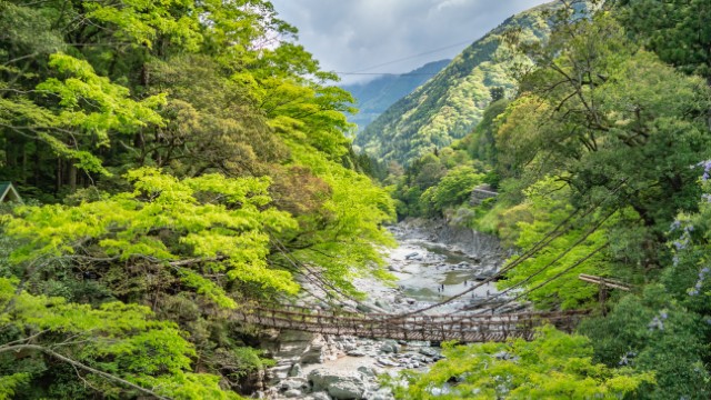 Iya Valley | Tour Shikoku e Kyushu Giappone