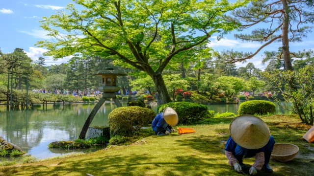 Kanazawa, Kenrokuen | Tour del Giappone