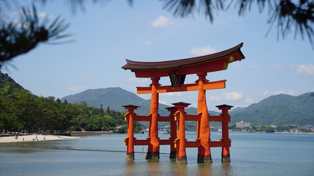 Miyajima | Tour Kyushu Giappone