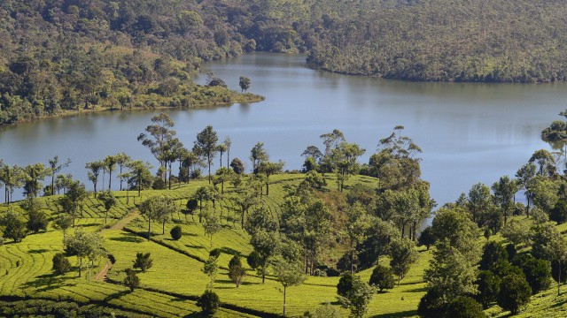 Periyar lake