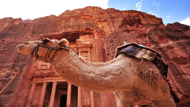 Petra, Cammello | Tour Giordania Deserto