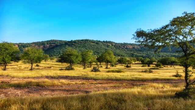 Ranthambore National Park | Tour Rajasthan