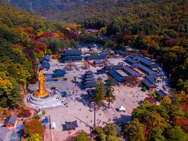 Riposare avvolti dal silenzio di un Tempio Buddista