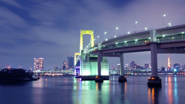 Tokyo, Tokyo Bridge | Tour Giappone Snow Monkeys