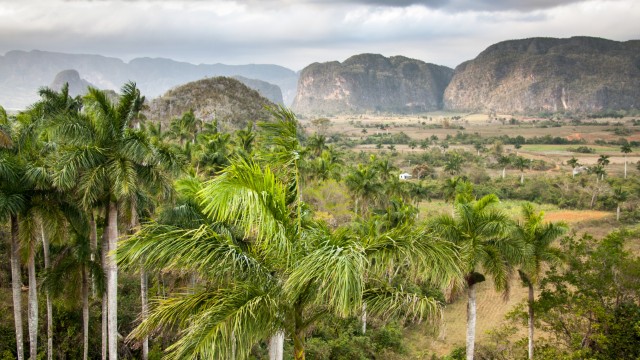 Viñales Mogotes | Tour Cuba