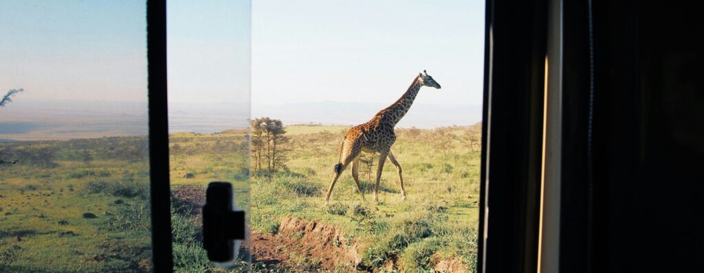 L'abbigliamento per un safari in Africa
