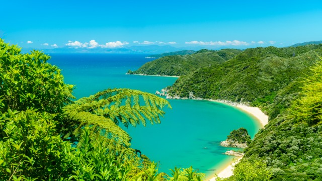 Abel Tasman NP | Itinerario Nuova Zelanda 20 giorni