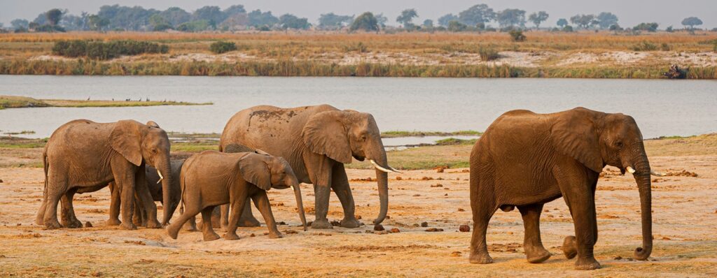 Botswana, cosa vedere